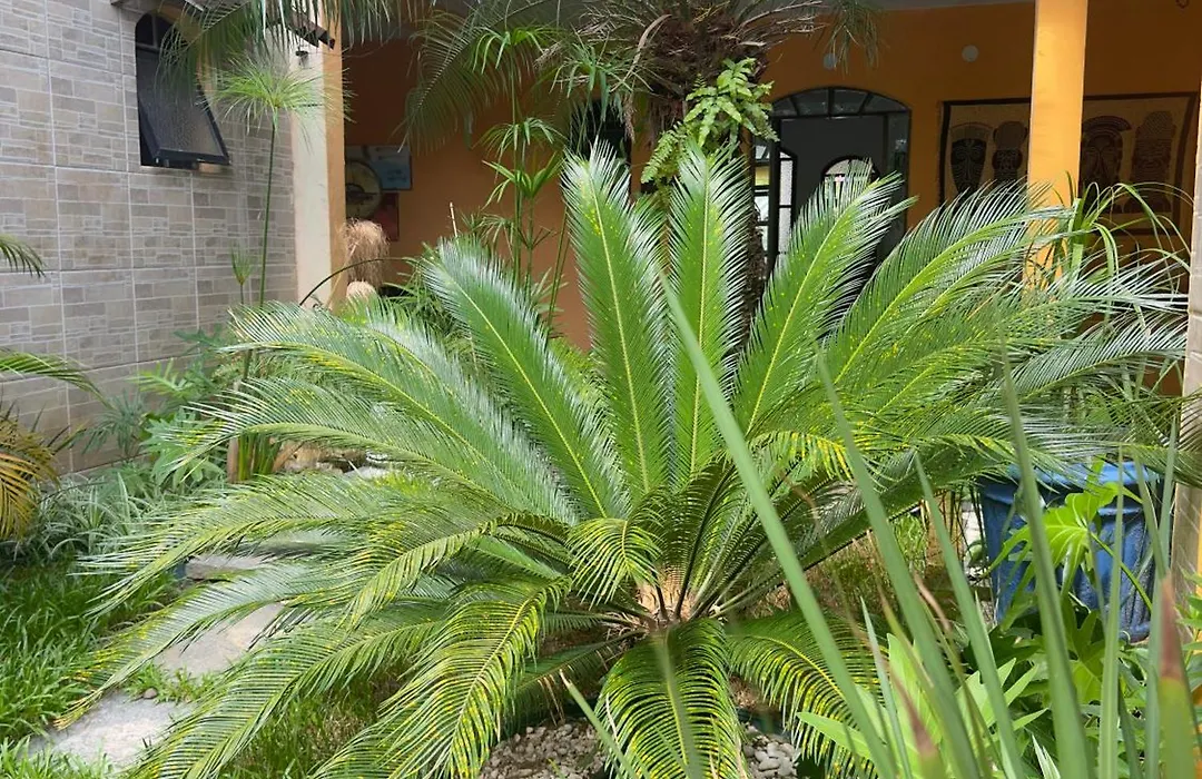 Pousada Boramar-1