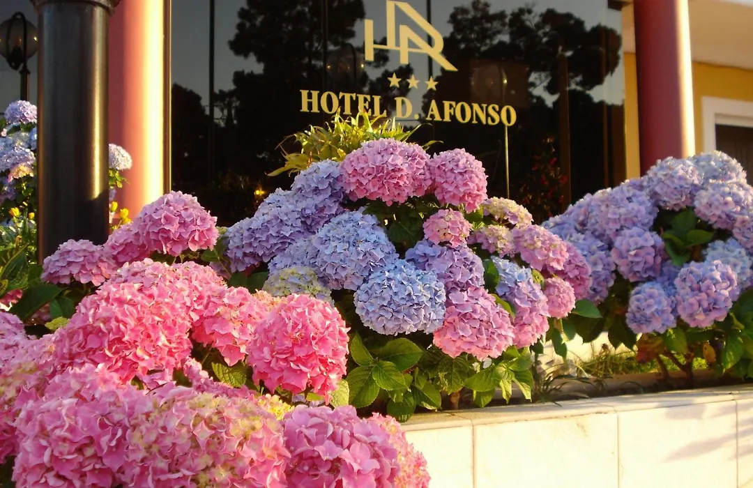 D. Afonso Hotel & Spa-1