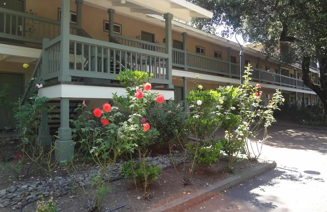 El Bonita Motel-1