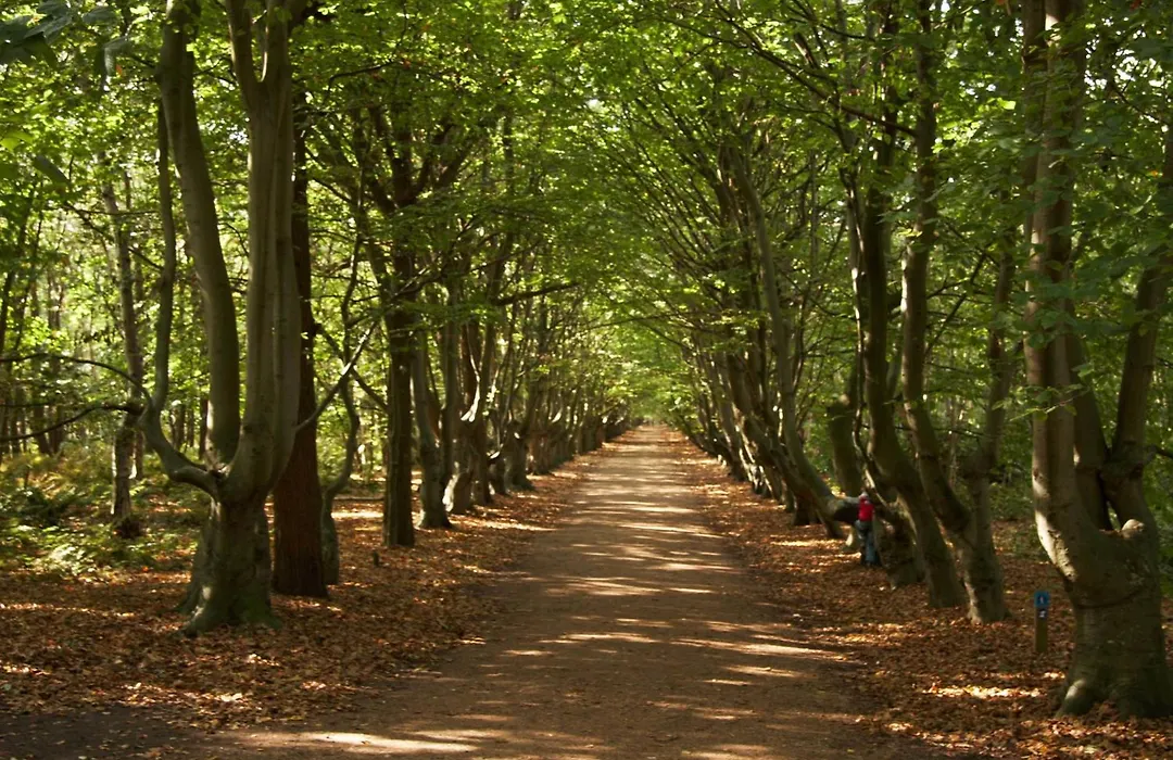 Strandhotel Bos En Duin-1