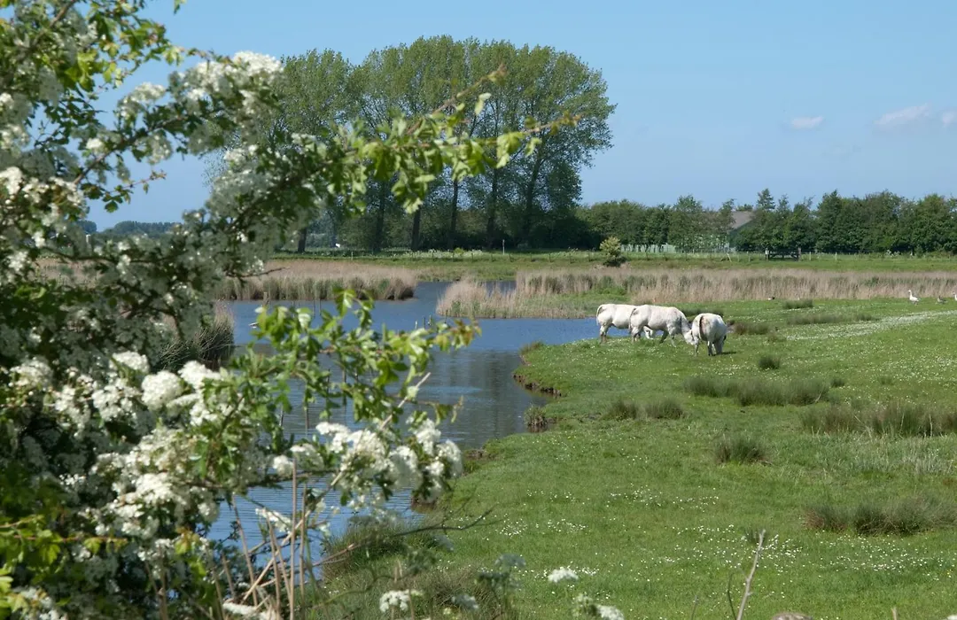 De Eenhoorn-1