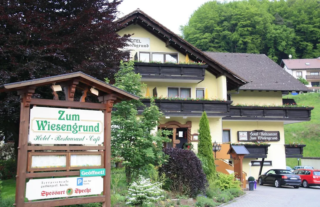 Zum Wiesengrund-1