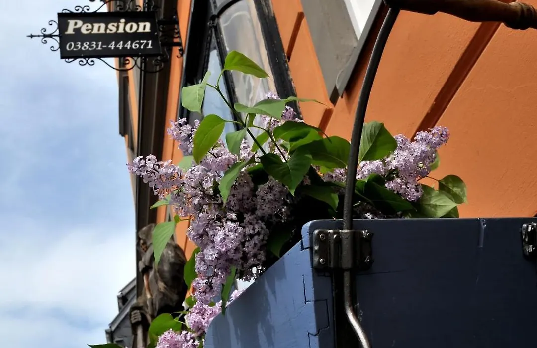 Pension Altstadt Mönch in top Lage direkt in der Altstadt incl Frühstück-1