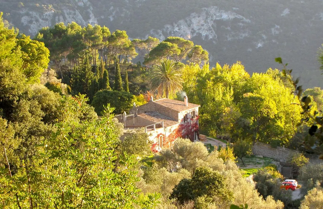 Mirabo De Valldemossa-1