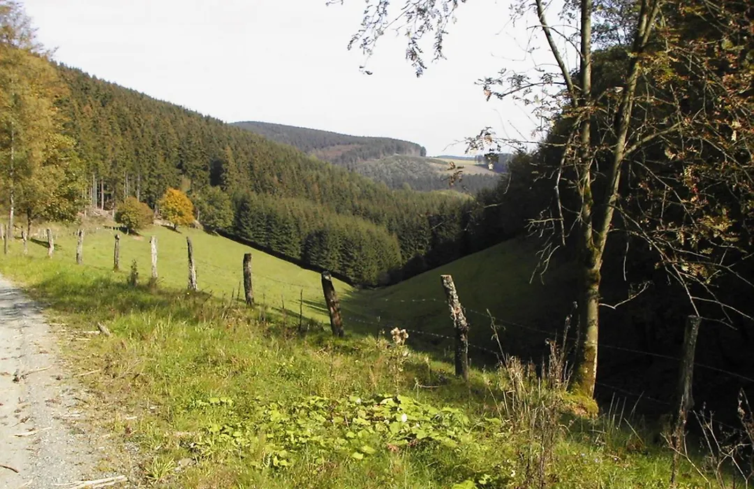 Sonneneck-1