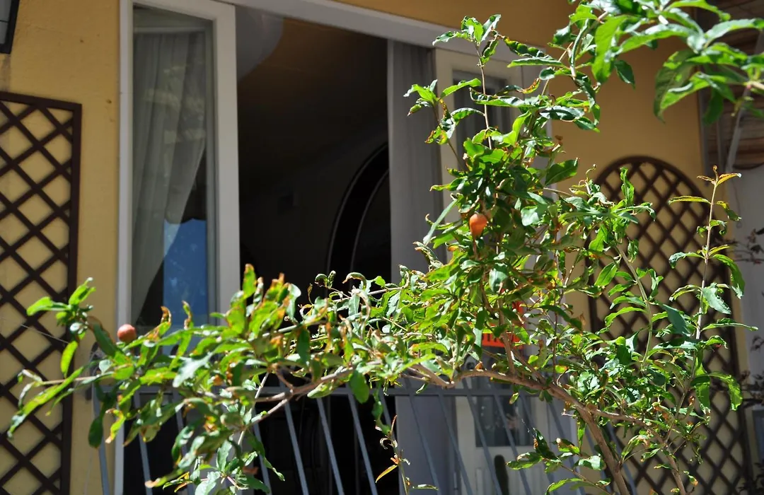 Hotel Corallo Garnì-1