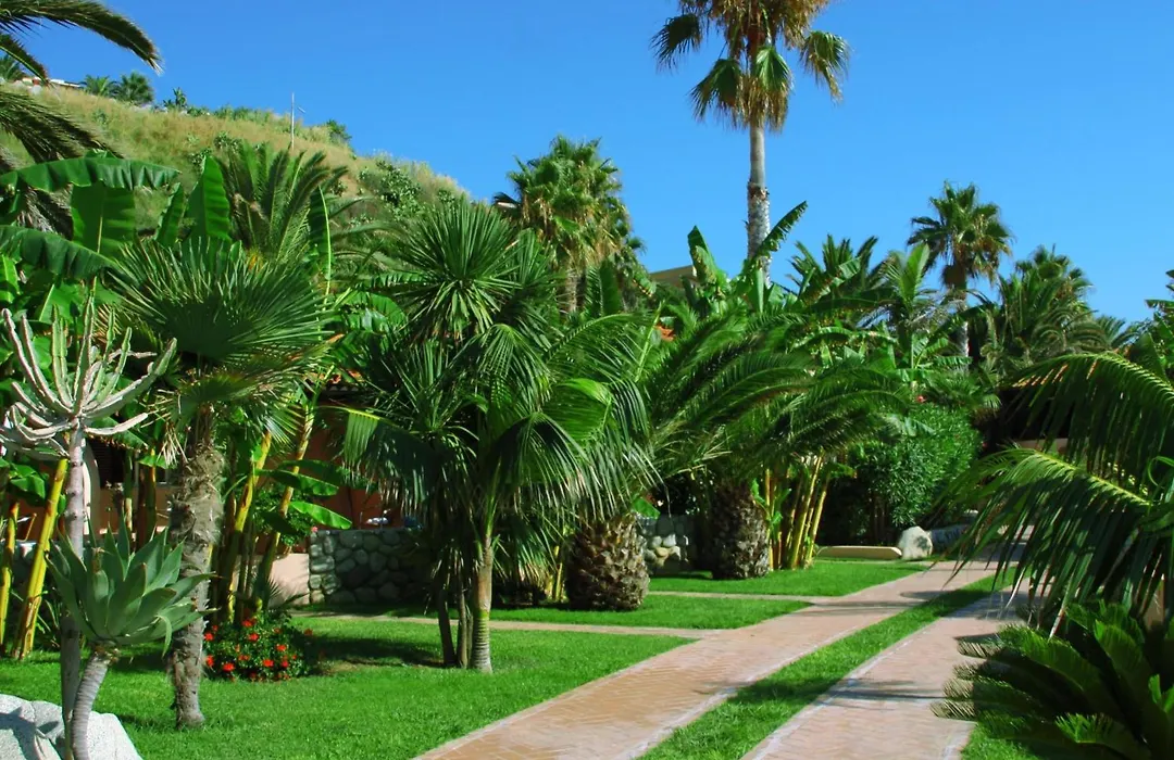 Hotel Villaggio Cala Di Volpe-1