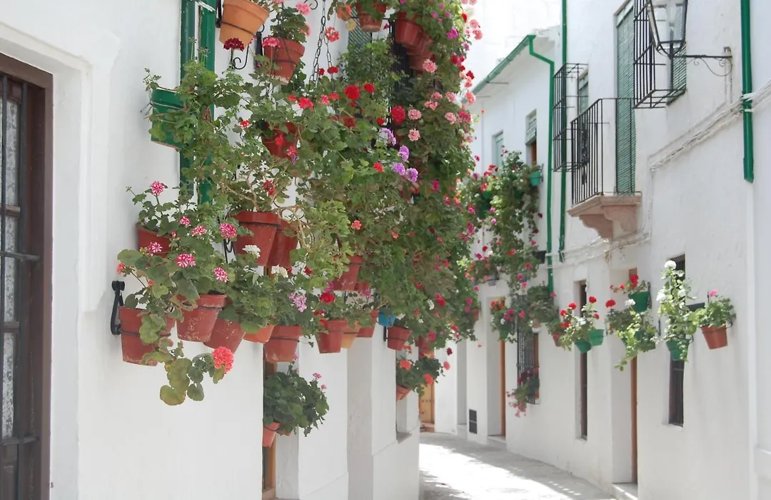 Casa Baños de la Villa-1