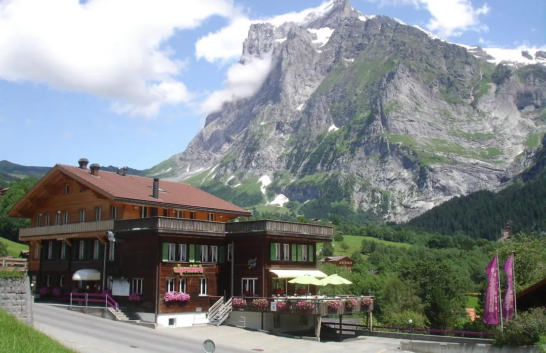 Hotel Alpenblick-1