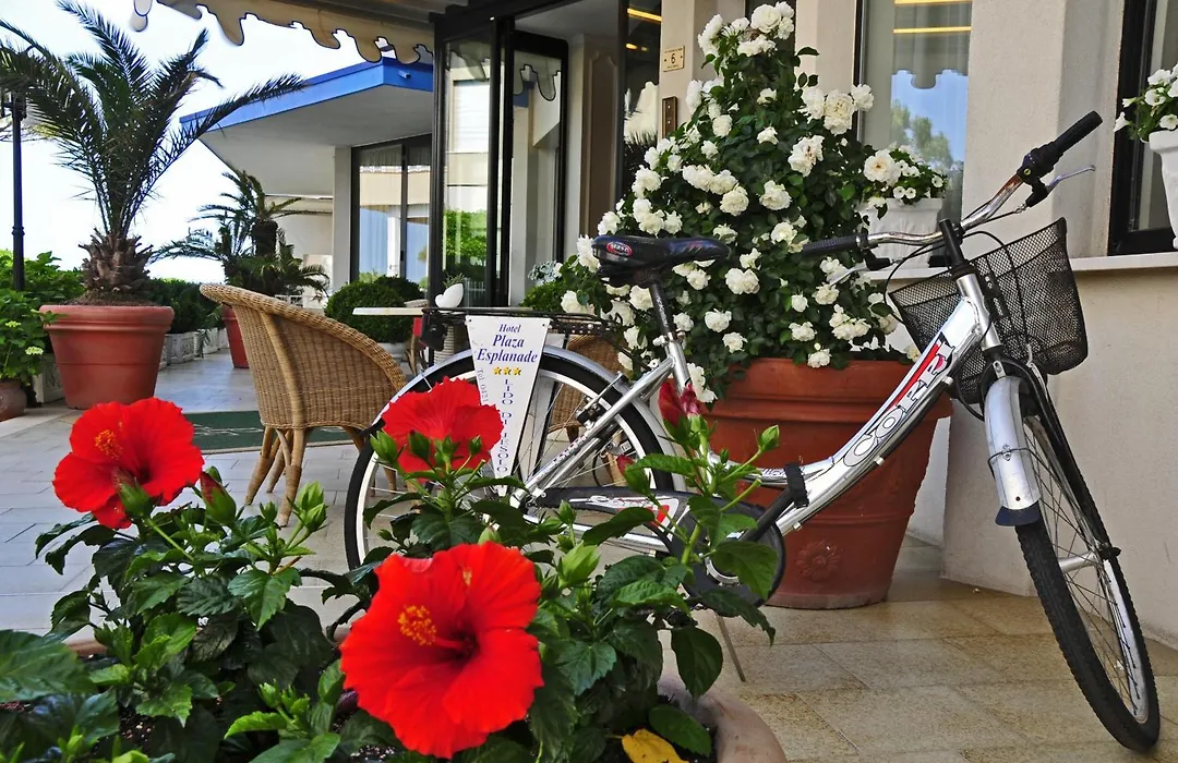 Hotel Plaza Esplanade-1