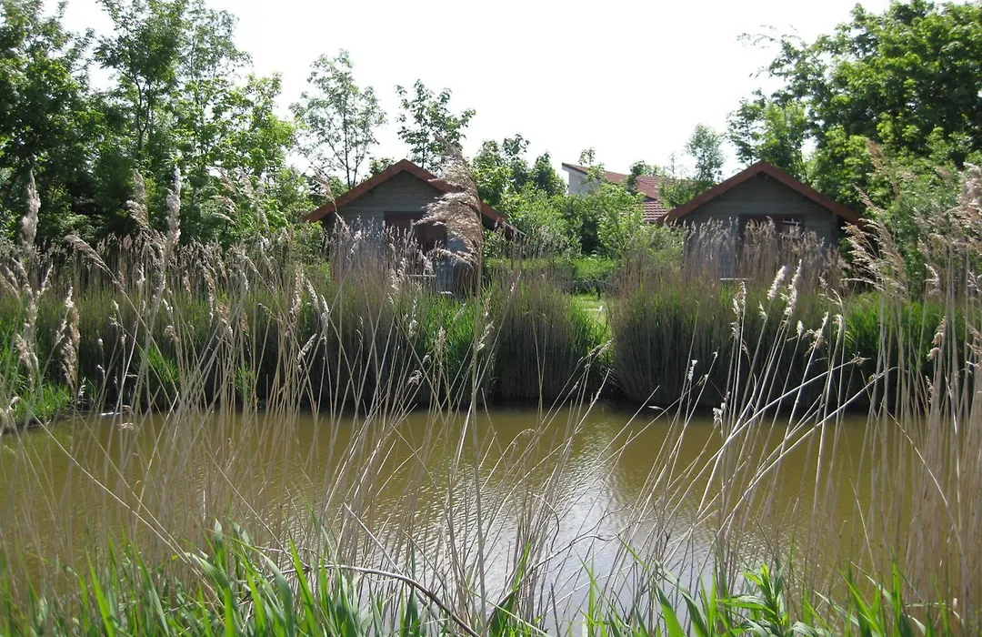 Bed&Breakfast De Zeehoeve-1