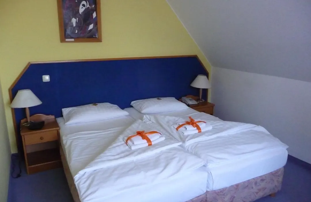 Hotel Mecklenburger Mühle Garni-1