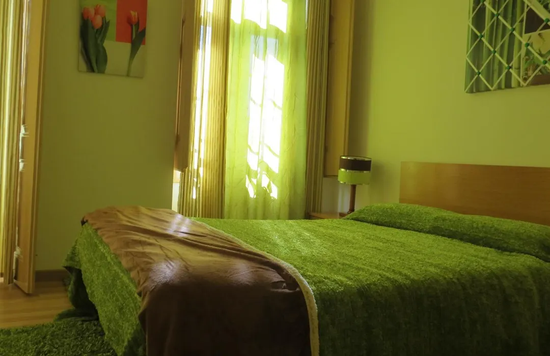 Alojamento Cesarini-1