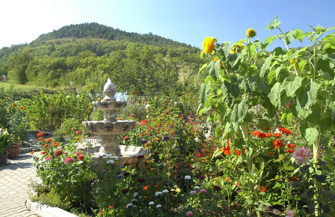 Hotel Haus Orchideental Jena-1