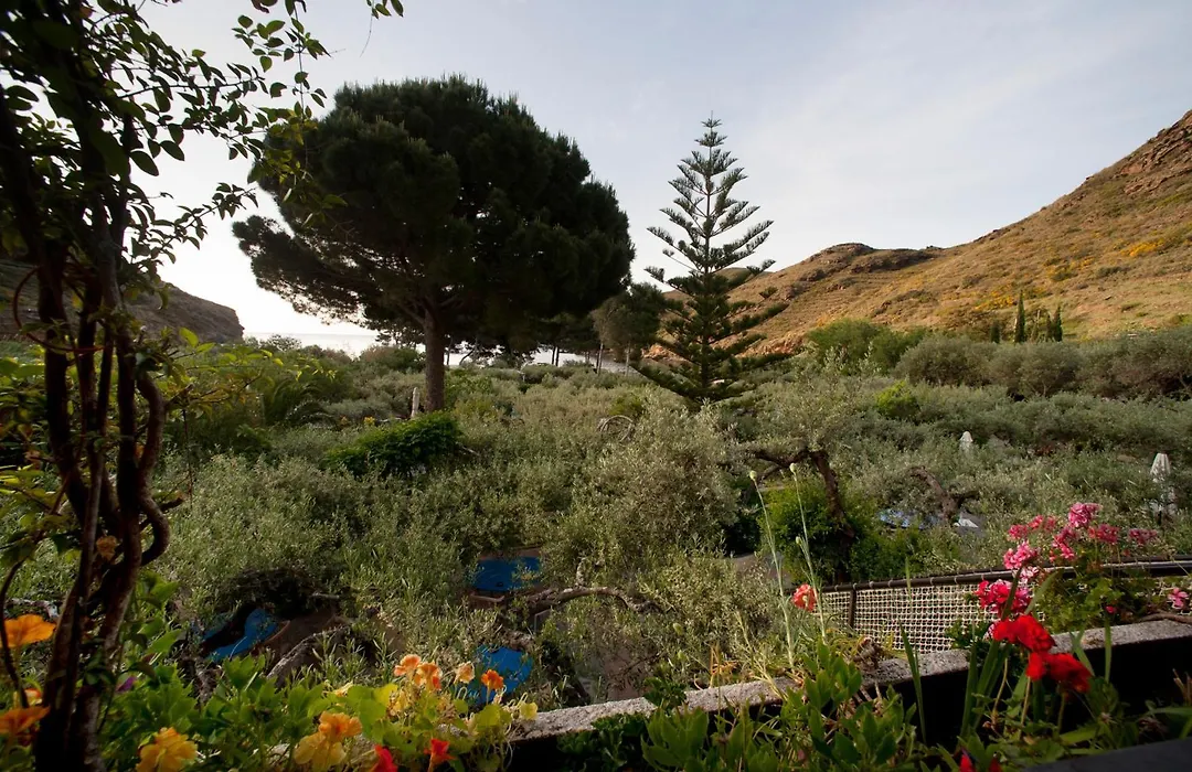 Hotel Cala Joncols-1