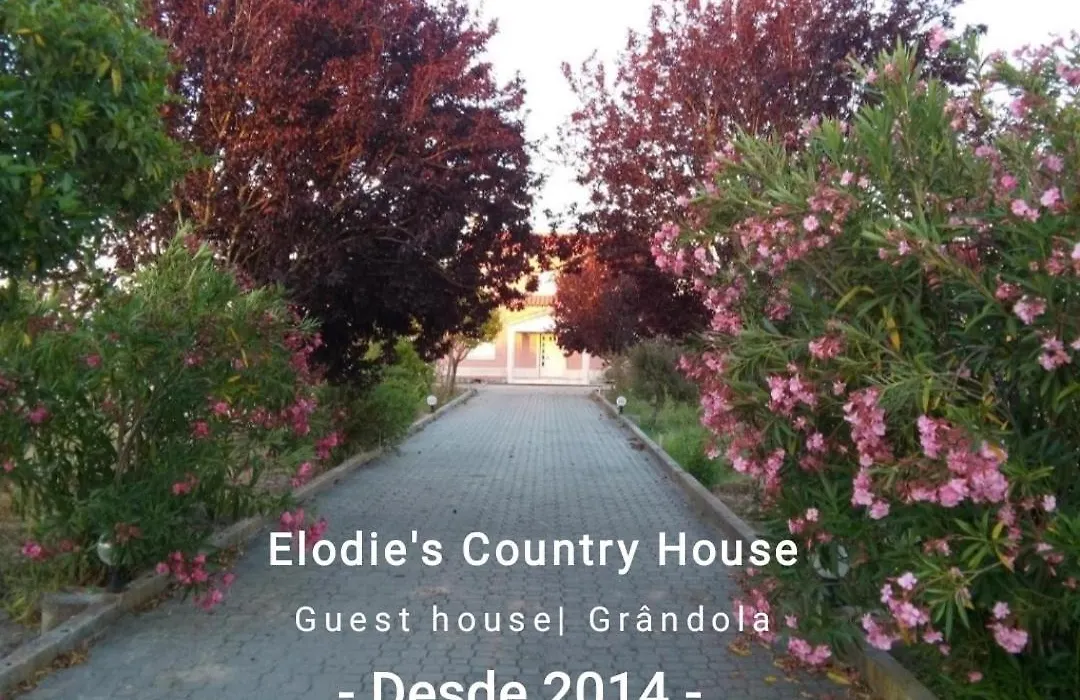 Elodie'S Country House - Alojamento Local-1