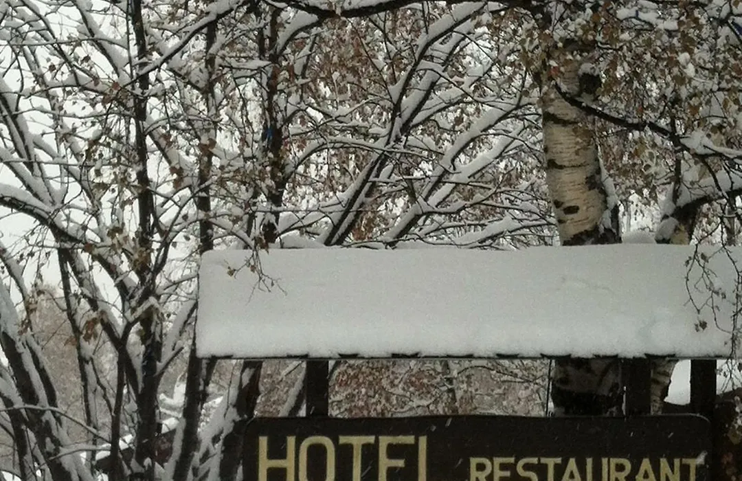 Hotel del Tarter-1