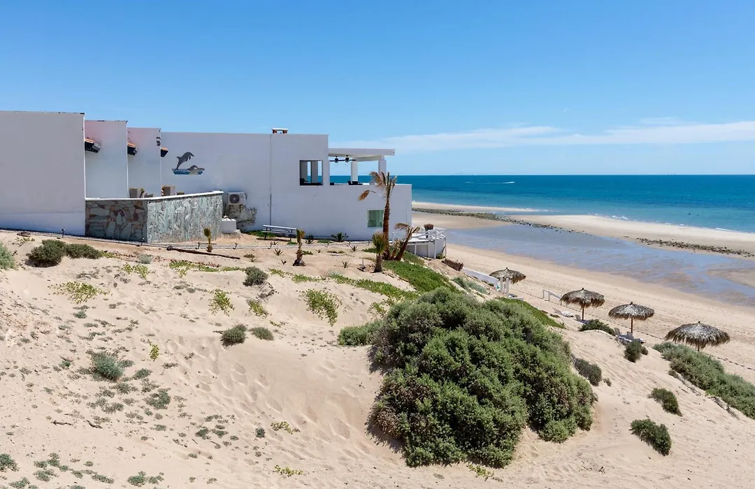 Jardin Del Mar-1