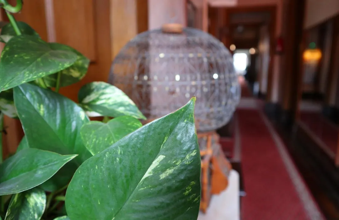 Alegre - Bussaco Boutique Hotel-1