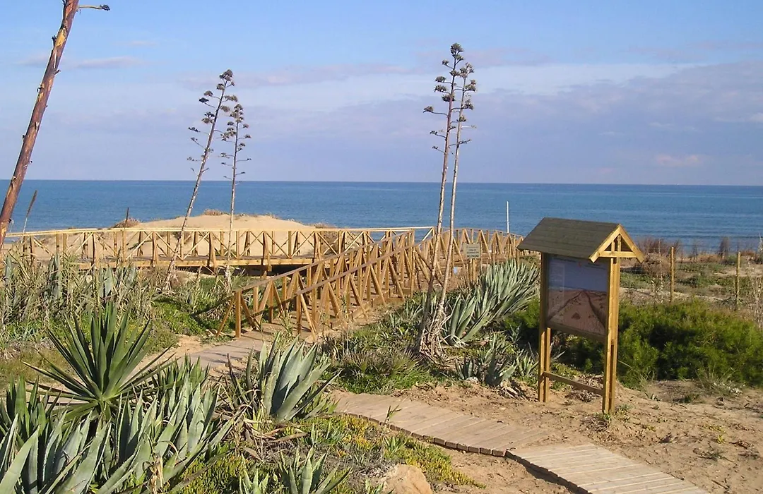 Hotel Mediterráneo-1