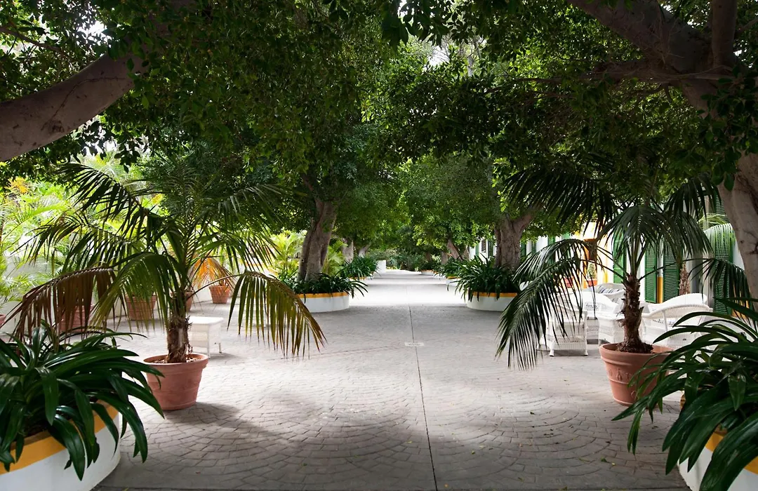 Cortijo San Ignacio-1