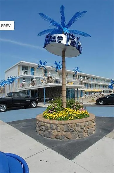 Blue Palms Resort-1