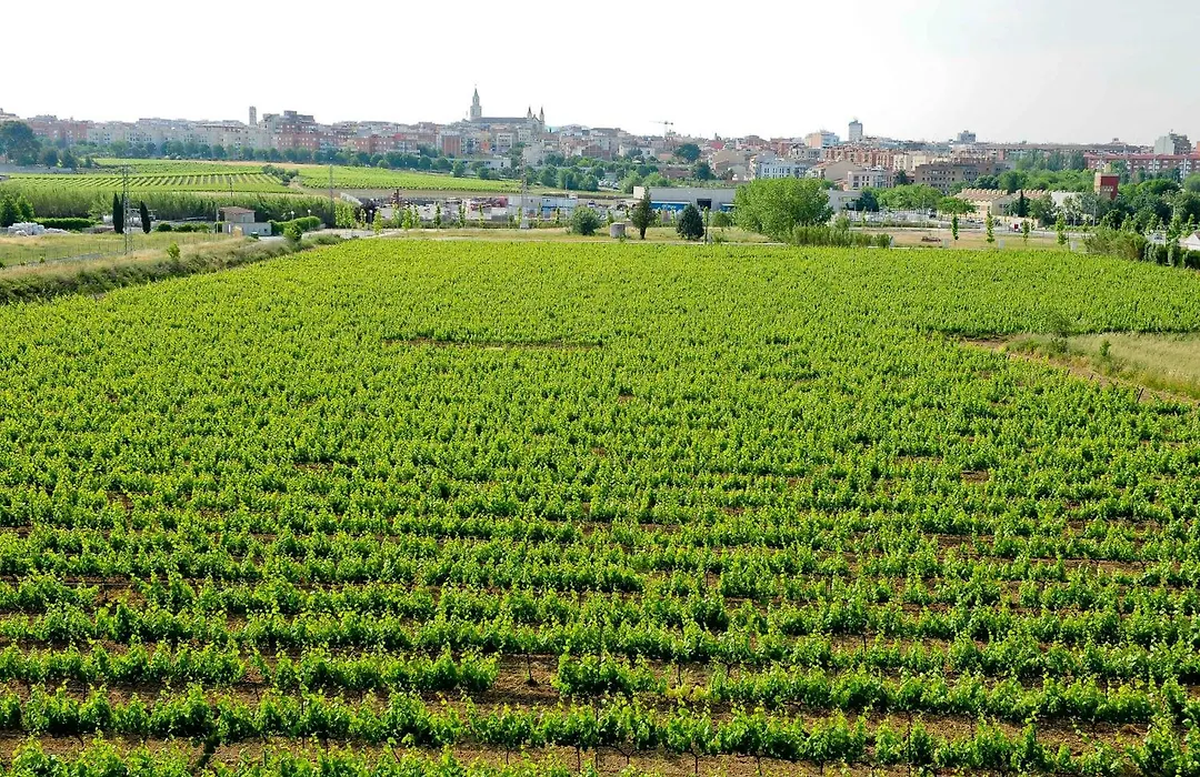 Mastinell Cava & Boutique Hotel By Olivia Hotels Collection-1