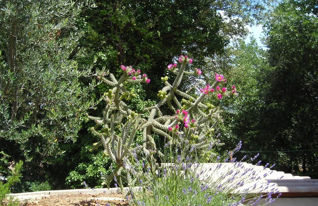 La Villa Sam-1
