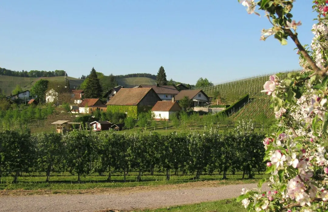 Gästehaus Wörner-1