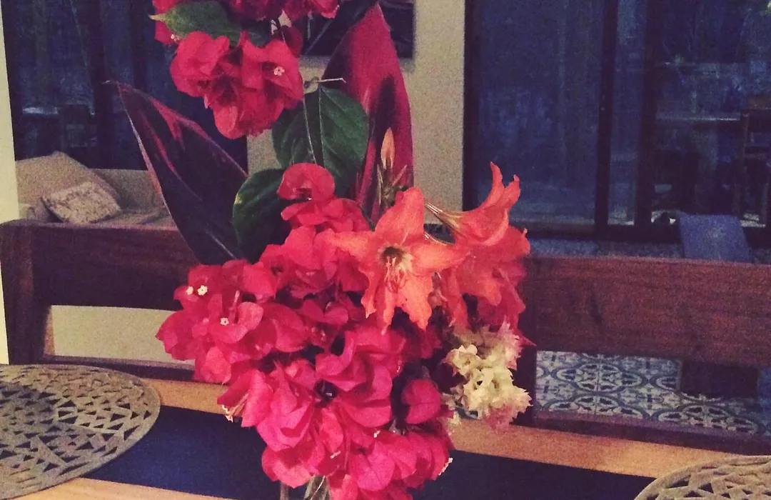 Escarabajo Rojo-1