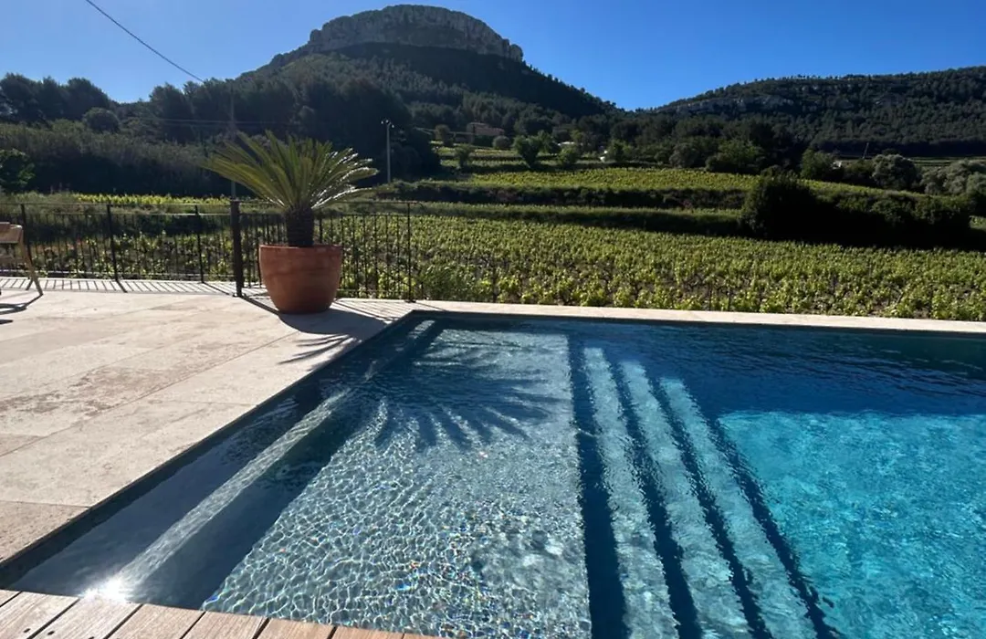 Côté vignes cassis-1
