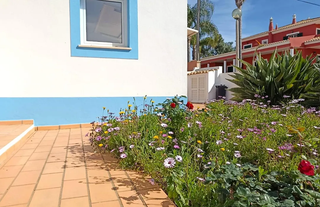 Casa Azul-1
