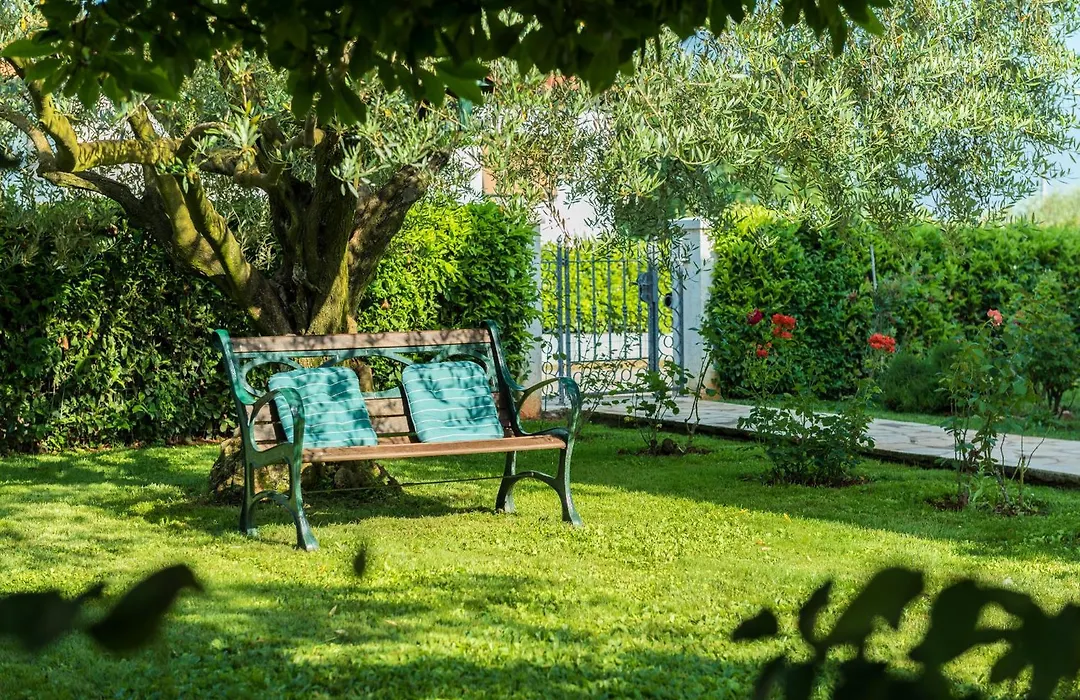 B&B Carmela-1