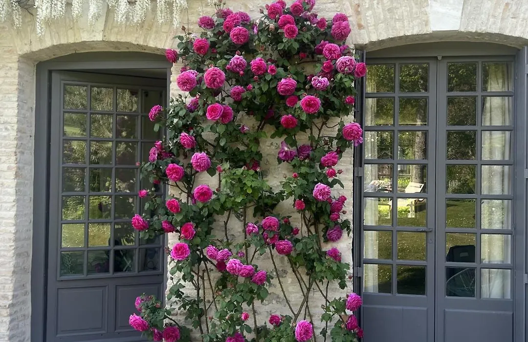 La Maison d'Aline-1