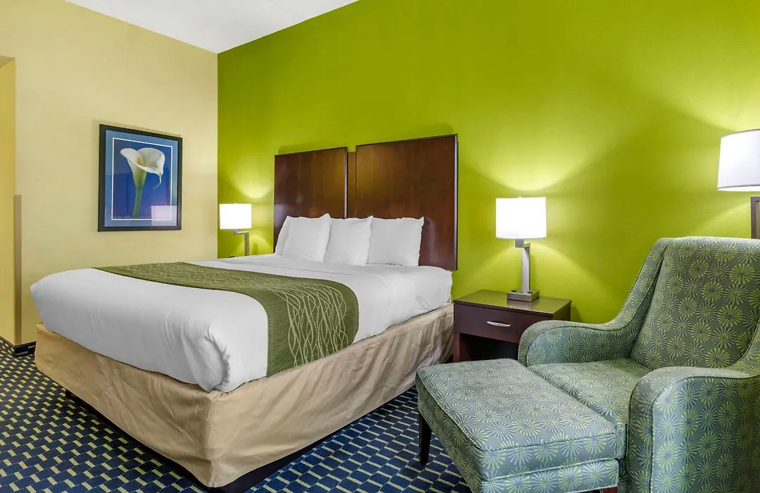 Comfort Inn Athens I - 75-1