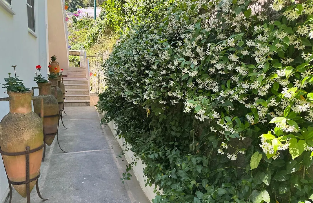 Villa Striano Capri - Guest House - Rooms Garden&Art-1
