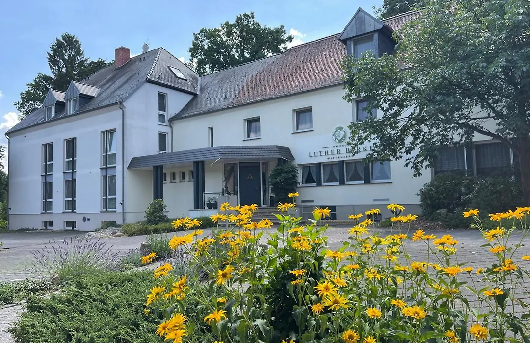 Hotel Luther Birke Wittenberg-1