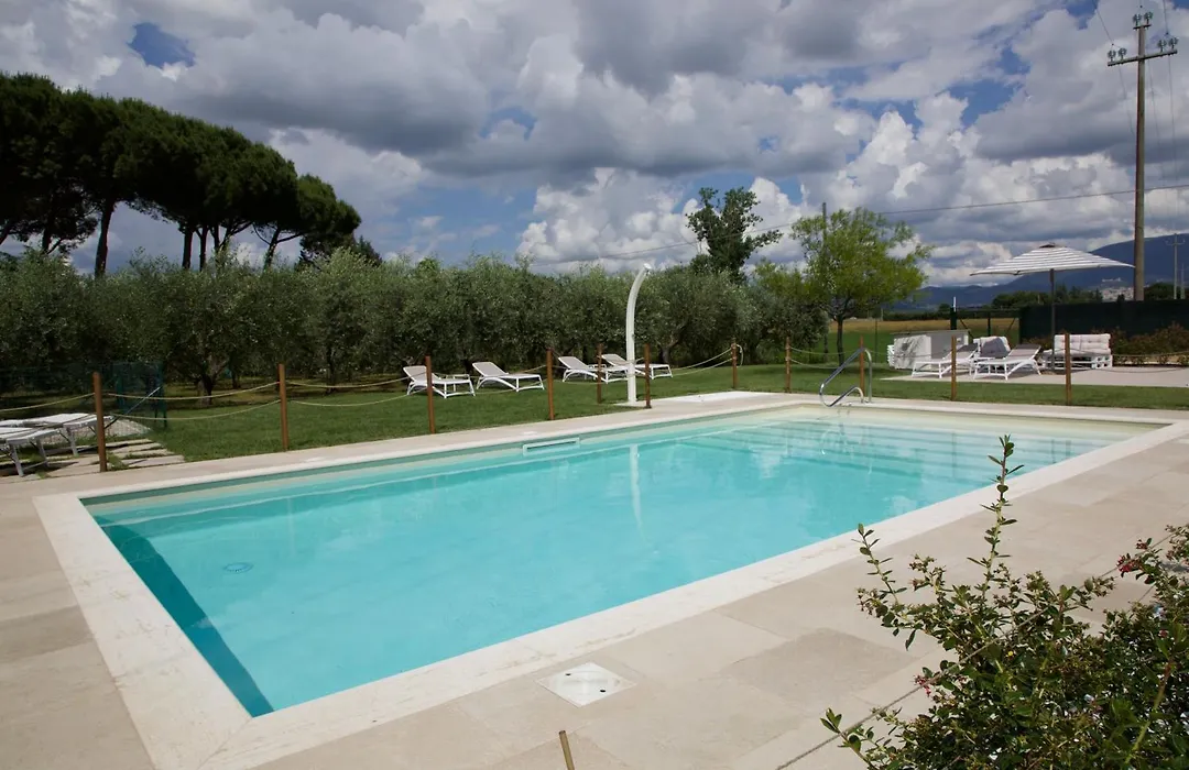 Rosa di Assisi-1
