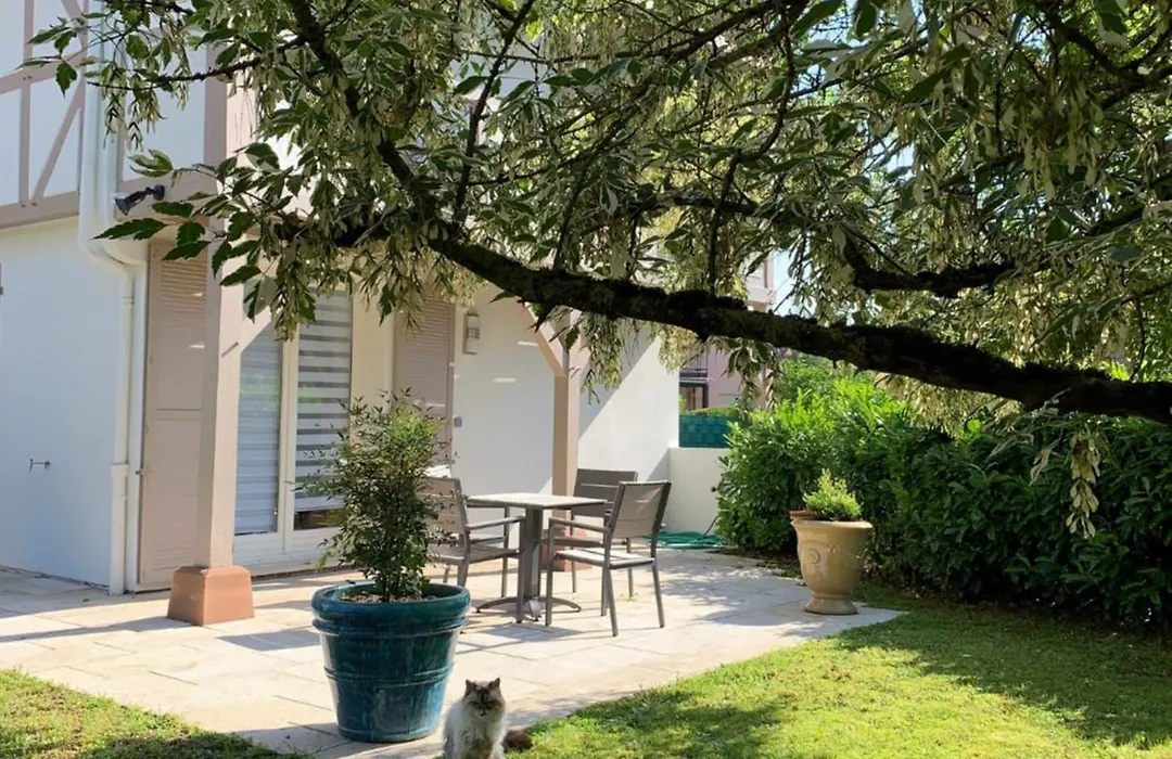 Chambres et SPA-1