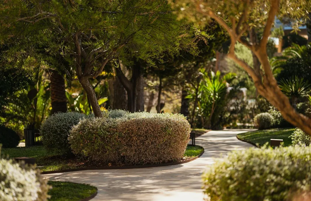 Secrets Mallorca Villamil Resort & Spa - Adults Only-1
