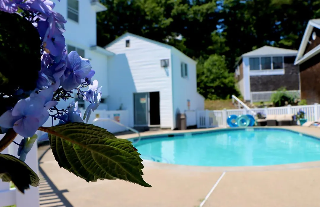 Sea View Motel-1