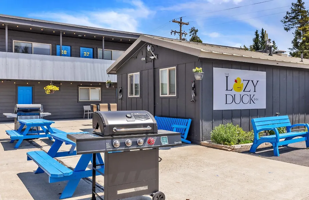 The Lazy Duck Inn-1