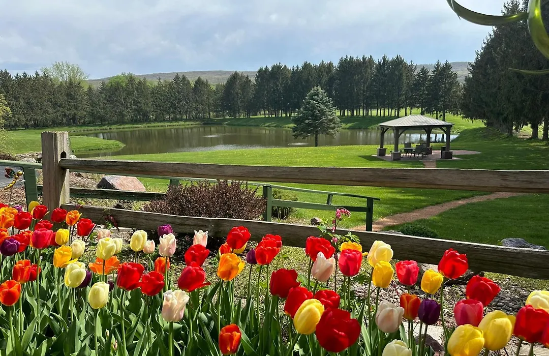 Pinehaven Country Inn-1