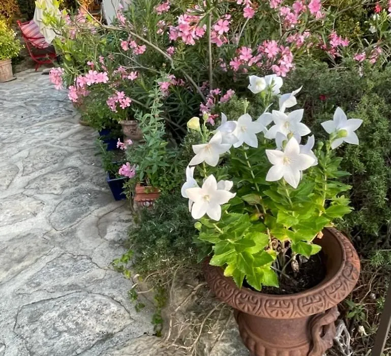 La Borie en Provence-1
