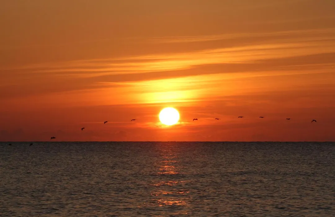 Oceanfront Inn And Suites - Ormond-1