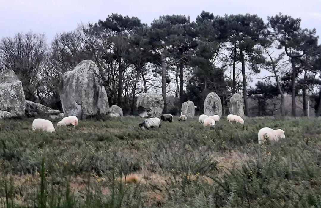 Back To Breizh-1