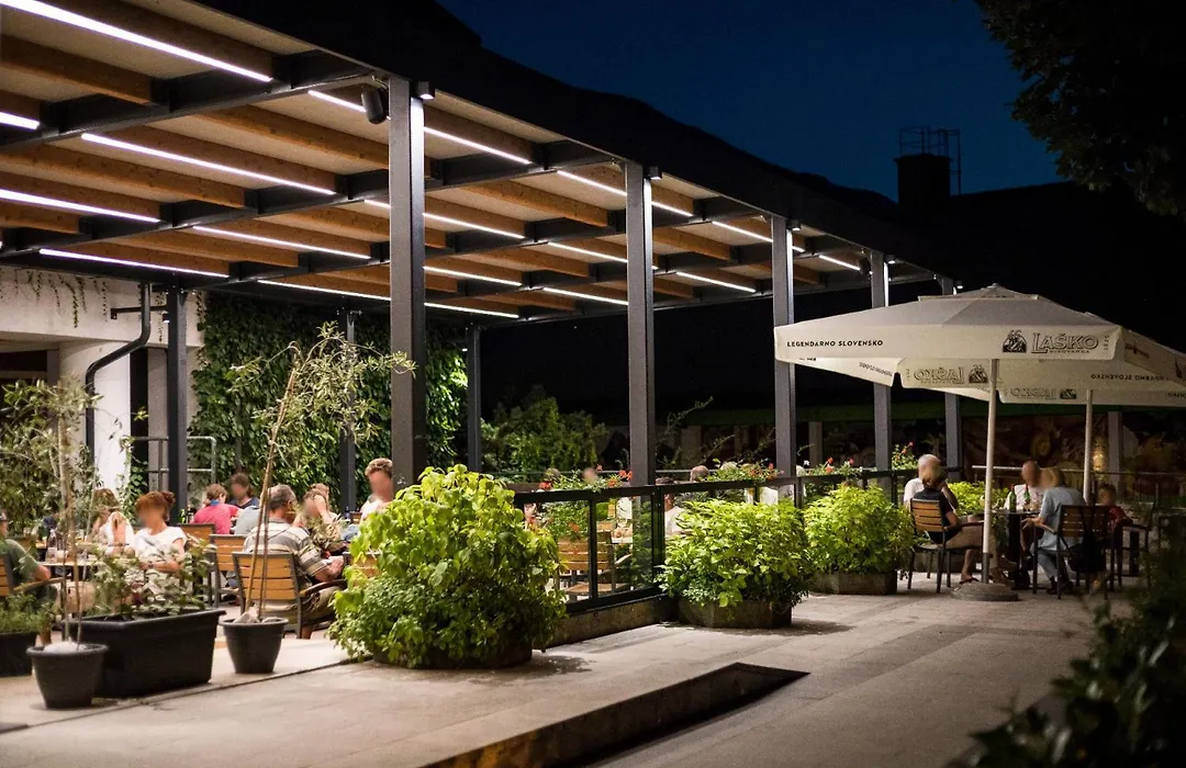Hotel Alp-1