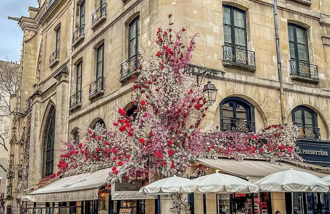 Hôtel Le Presbytère-1