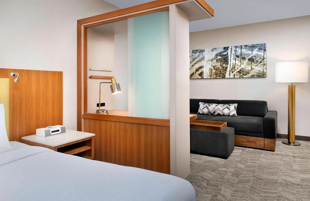 Springhill Suites Potomac Mills Woodbridge-1
