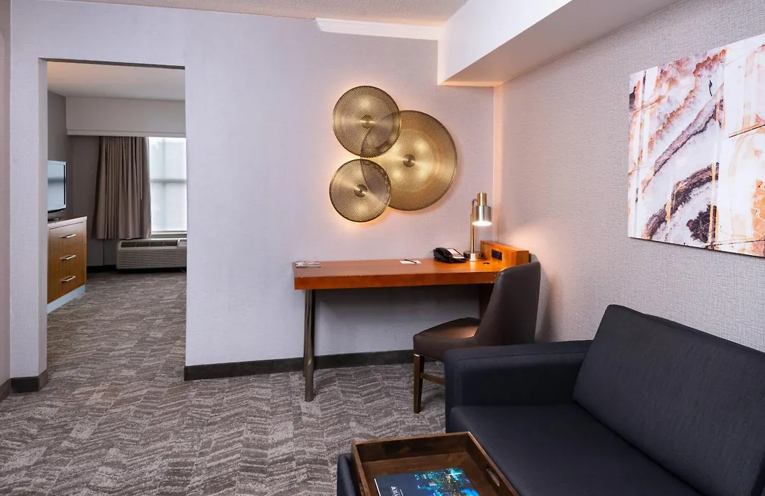 Springhill Suites By Marriott Pittsburgh North Shore-1
